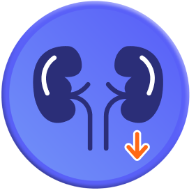 Worsened renal function icon